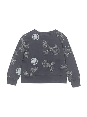 2 size - 3T